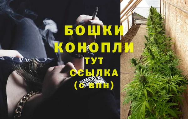 СК Абдулино