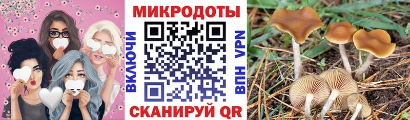Галлюциногенные грибы Psilocybe  Лангепас 